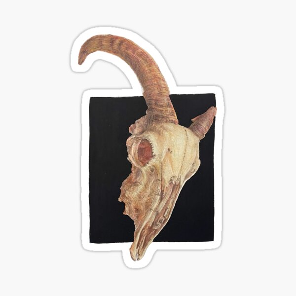 Ram Skull Sticker
