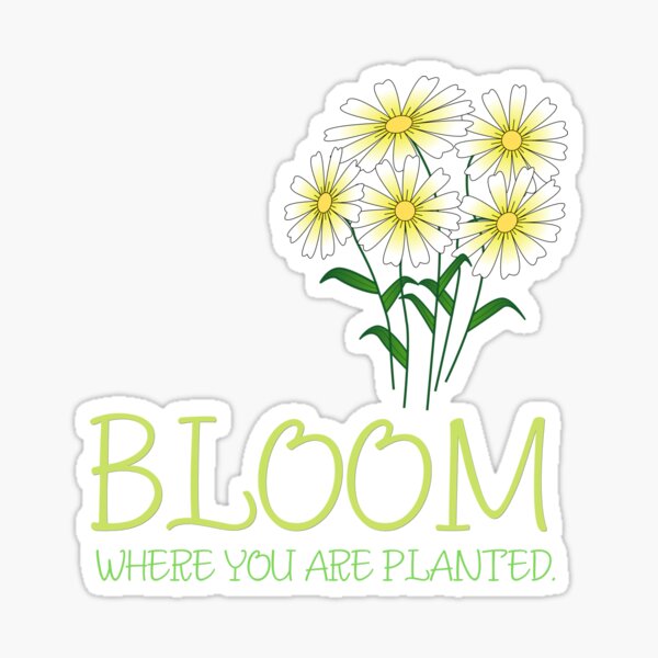 Bloom where you are planted Sticker for Sale by Design Dreamer