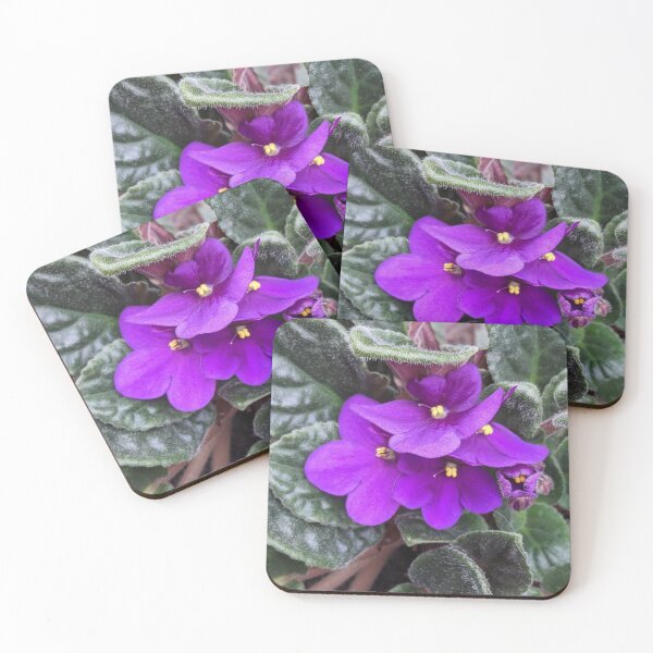 Item preview, African violet blooms designed and sold by memorguson.