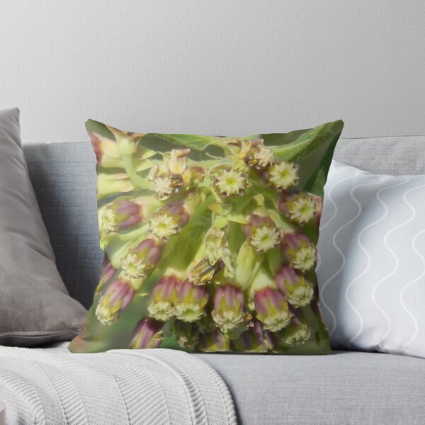Item preview, Closeup of  New  Version  of Green Milkweed designed and sold by Navigator.