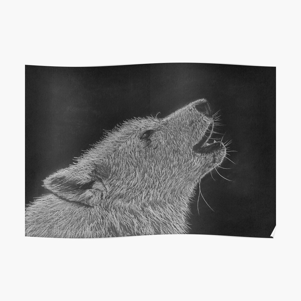 Póster «Dibujo blanco y negro de un lobo aullador» de traceyeverart |  Redbubble