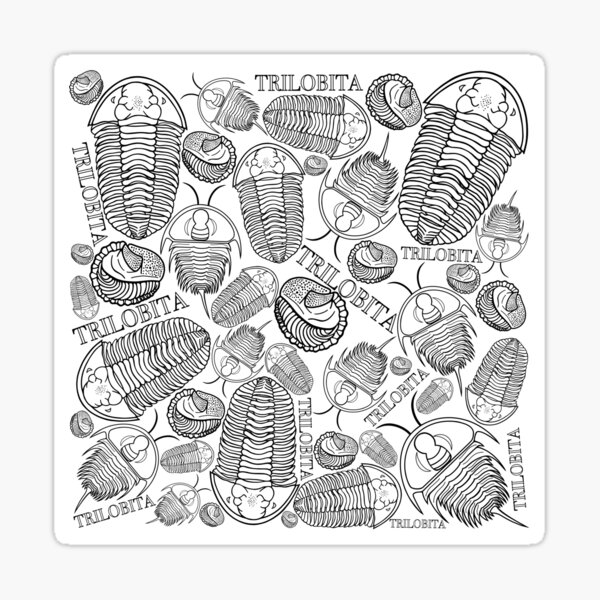 Black and White Trilobite Trilobita fossils Sticker