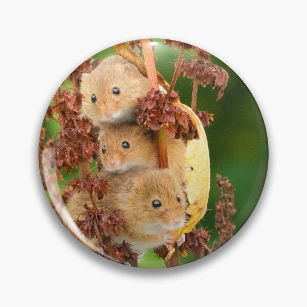 Item preview, Stack of 3 Harvest Mice designed and sold by rw4820.