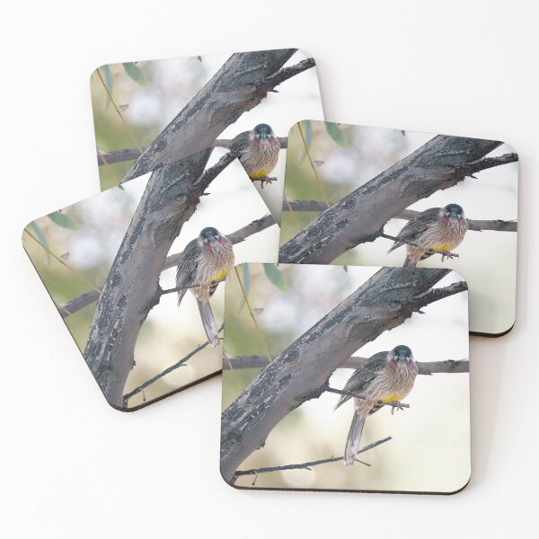 Item preview, Wattlebird on a bough designed and sold by imaginethis.