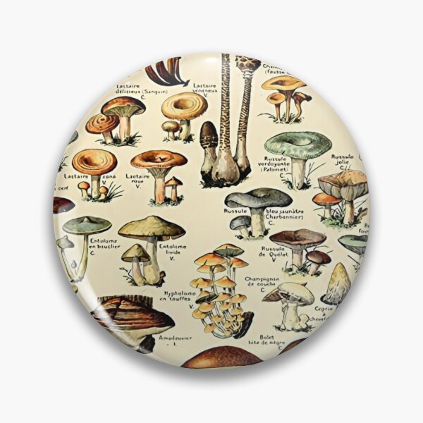 Item preview, Beauty Mushrooms Champignons Poster designed and sold by losepkarl.