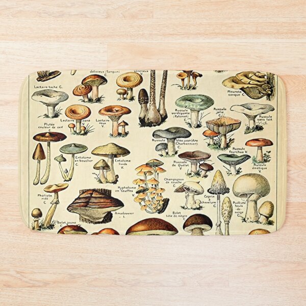 Item preview, Beauty Mushrooms Champignons Poster designed and sold by losepkarl.