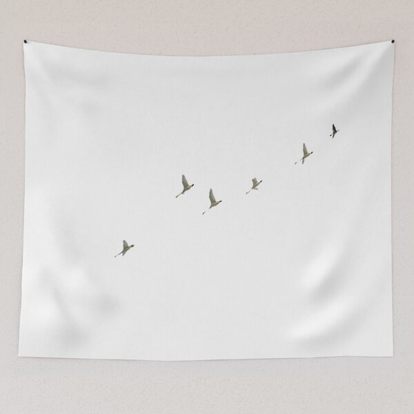 Item preview, Swan refers to the bird of the Goose family (scientific name: Cygnus). It is a swimming bird. It is a national second-level protected animal designed and sold by zenger2021.