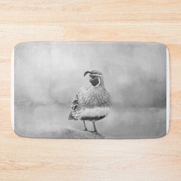 Item preview, Beautiful Male Gambel's Quail BW designed and sold by Elisabeth Lucas.