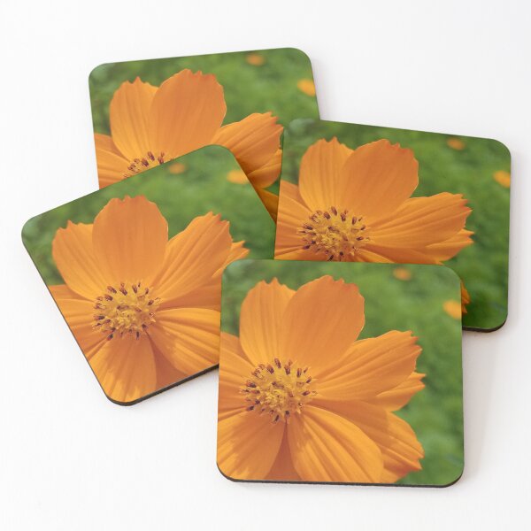 Item preview, Full Bloom designed and sold by MooskieMallie.