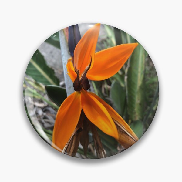 Item preview, Bird of Paradise designed and sold by KazM.