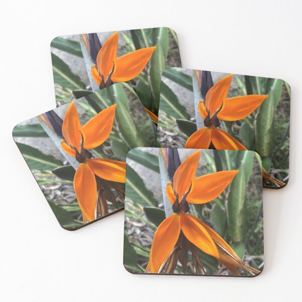 Item preview, Bird of Paradise designed and sold by KazM.