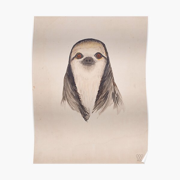 Sloth Poster
