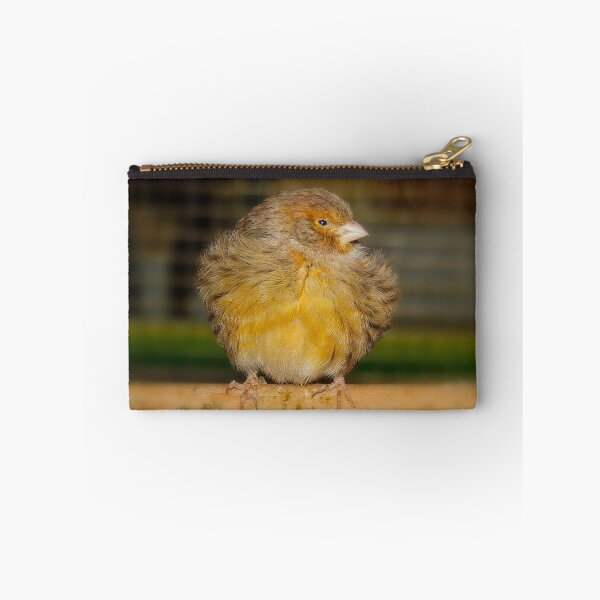 Item preview, All Fluffed Up - Canary designed and sold by AnnDixon.