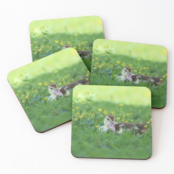Item preview, Sweetness designed and sold by Olivia Plasencia.