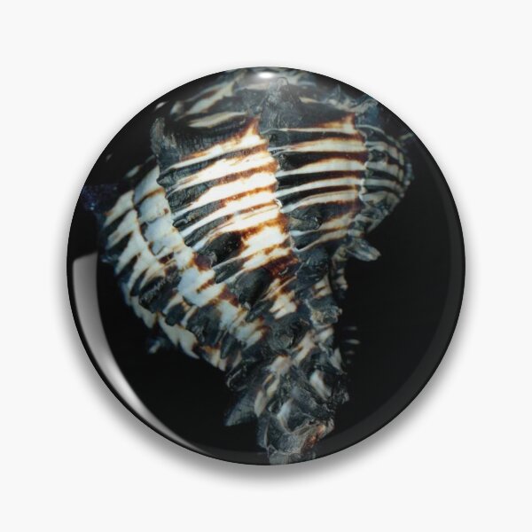 Item preview, Shell Art designed and sold by SusanDavies76.