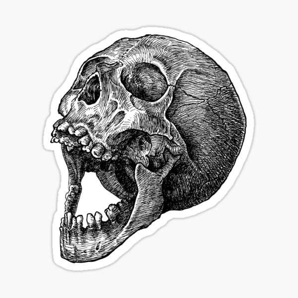 Joy Skull! Sticker