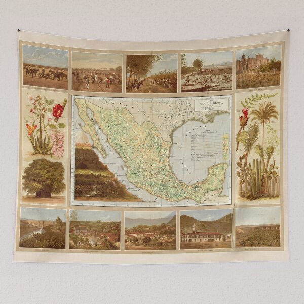 Item preview, Old Mexico Agricultural Map (1885) Vintage Central America Farming Atlas designed and sold by BravuraMedia.
