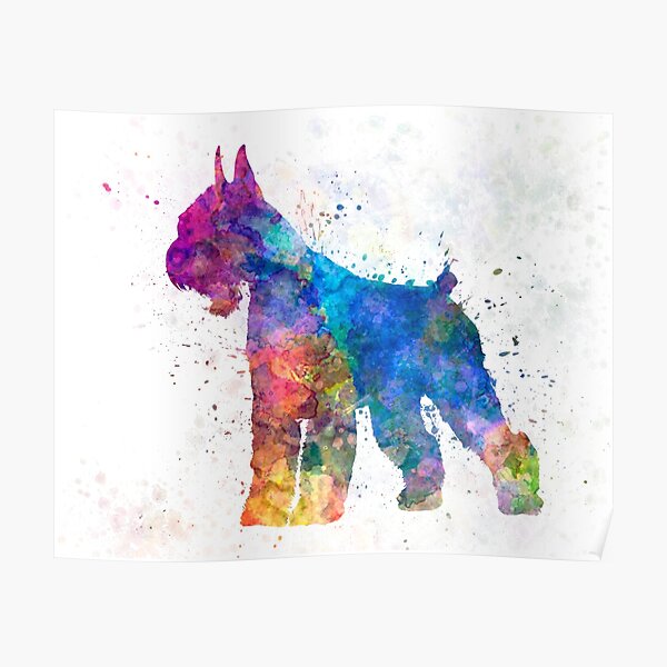Giant Schnauzer 01 in watercolor Poster