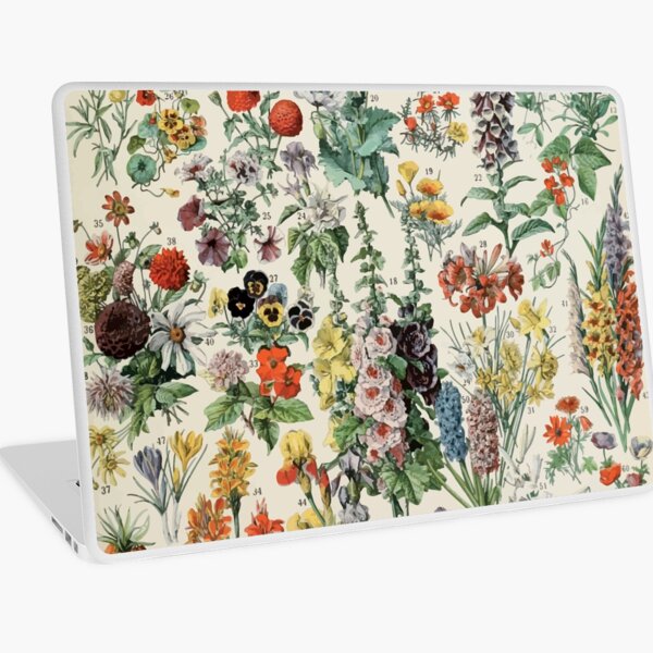Aperçu de l'œuvre Adolphe Millot fleurs A créée et vendue par wetdryvac.
