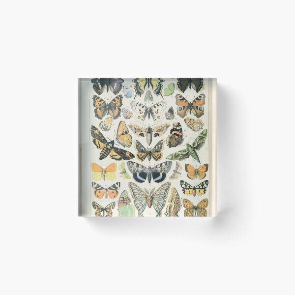 Item preview, Adolphe Millot papillons A designed and sold by wetdryvac.