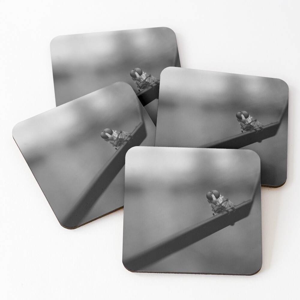 Item preview, Coasters (Set of 4) designed and sold by R-York.