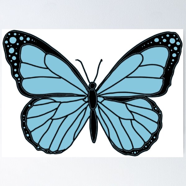 Butterfly Desktop, blue butterfly, insects, color png | PNGEgg