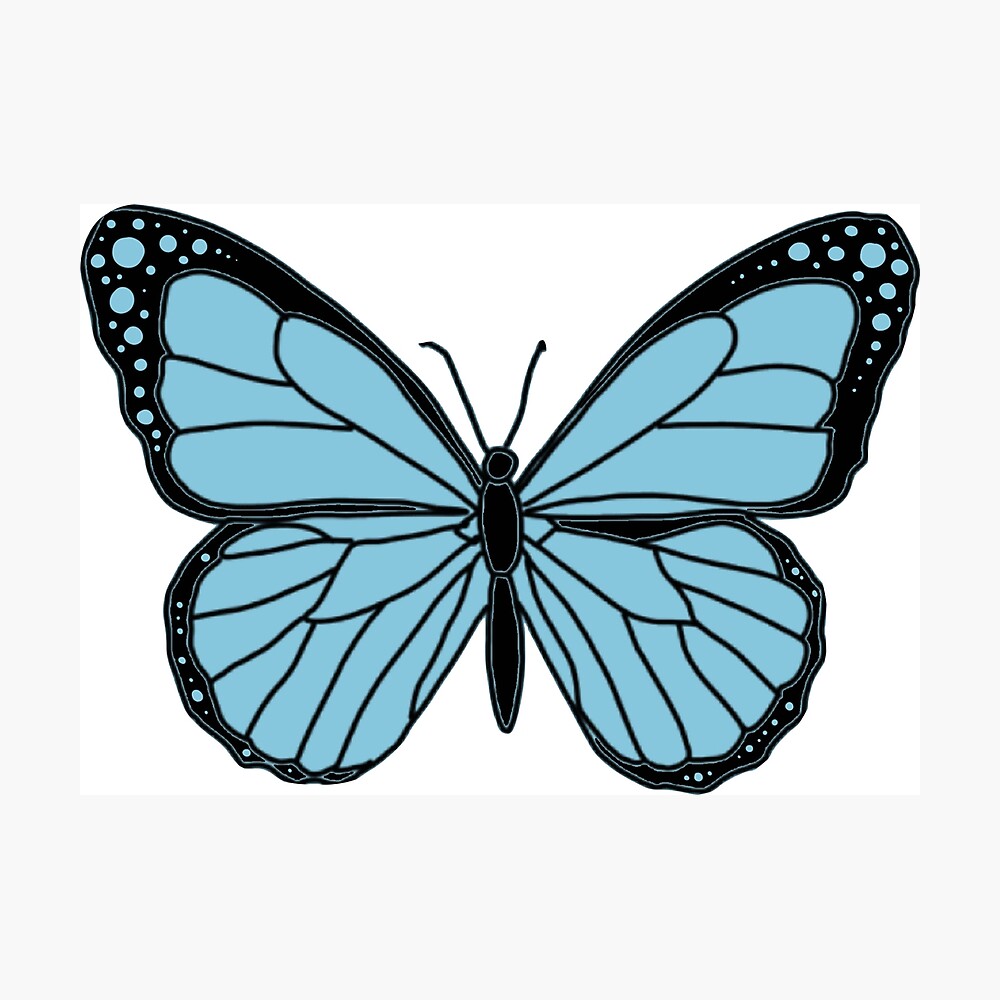 Blue Morpho Butterfly - Art Print – Lauren Blair