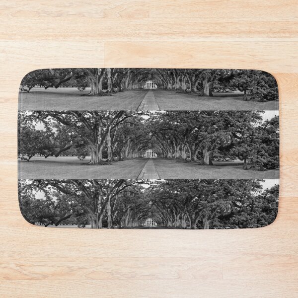 Item preview, Oak Alley Panorama in Black and White designed and sold by Kay Brewer.