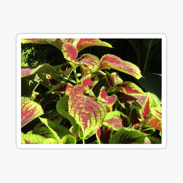 Item preview, Red and Green Leaves designed and sold by CPArtStudios.