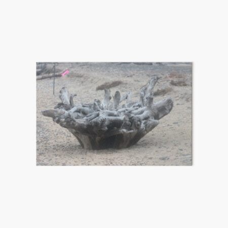 Item preview, Large, twisted, driftwood  designed and sold by SariePhotograph.