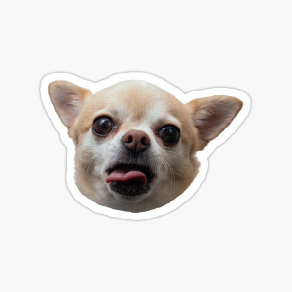 Item preview, chihuahua Face mood designed and sold by Novprizal.