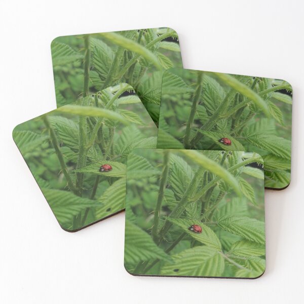 Item preview, ladybugs designed and sold by artbyrosse.
