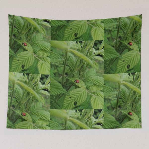 Item preview, ladybugs designed and sold by artbyrosse.