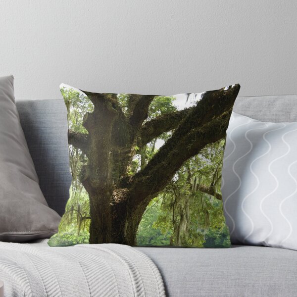 Item preview, Charleston Trees designed and sold by Cristy Hernandez.