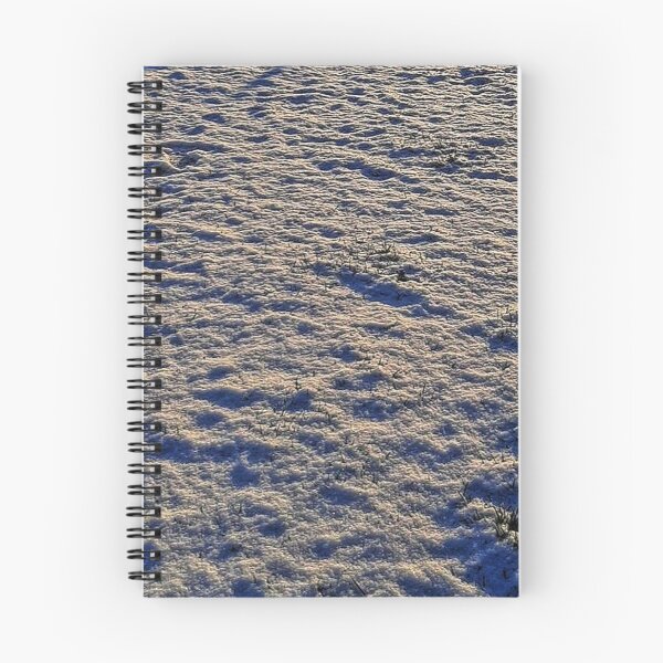 Aperçu de l'œuvre Matin enneigé créée et vendue par rkaidesigns.