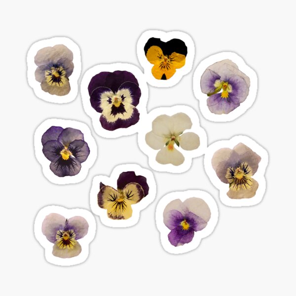 Realistic Pressed Flower Sticker Assortment