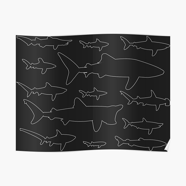 Sharks of all kinds Poster