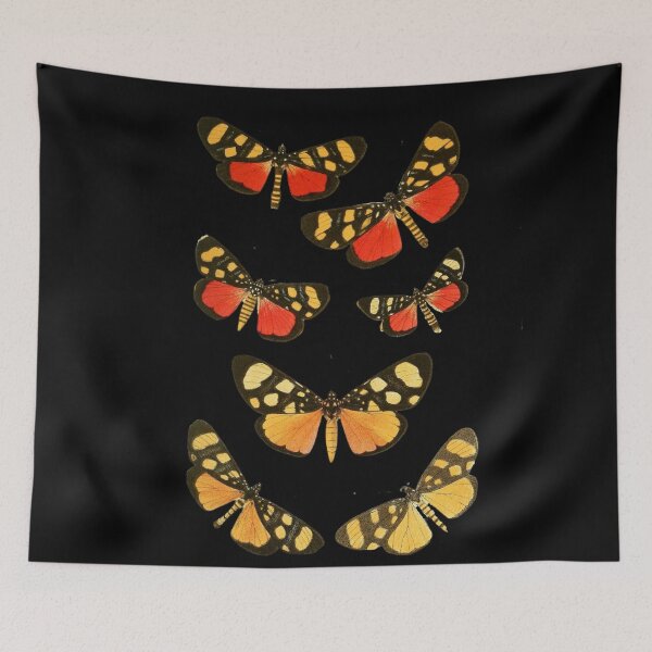 Item preview,  butterflies designed and sold by AmineMorchid.