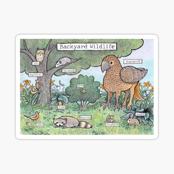 Backyard Wildlife Sticker