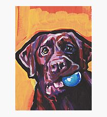 Chocolate Labrador Retriever Dog Bright colorful pop dog art Photographic Print