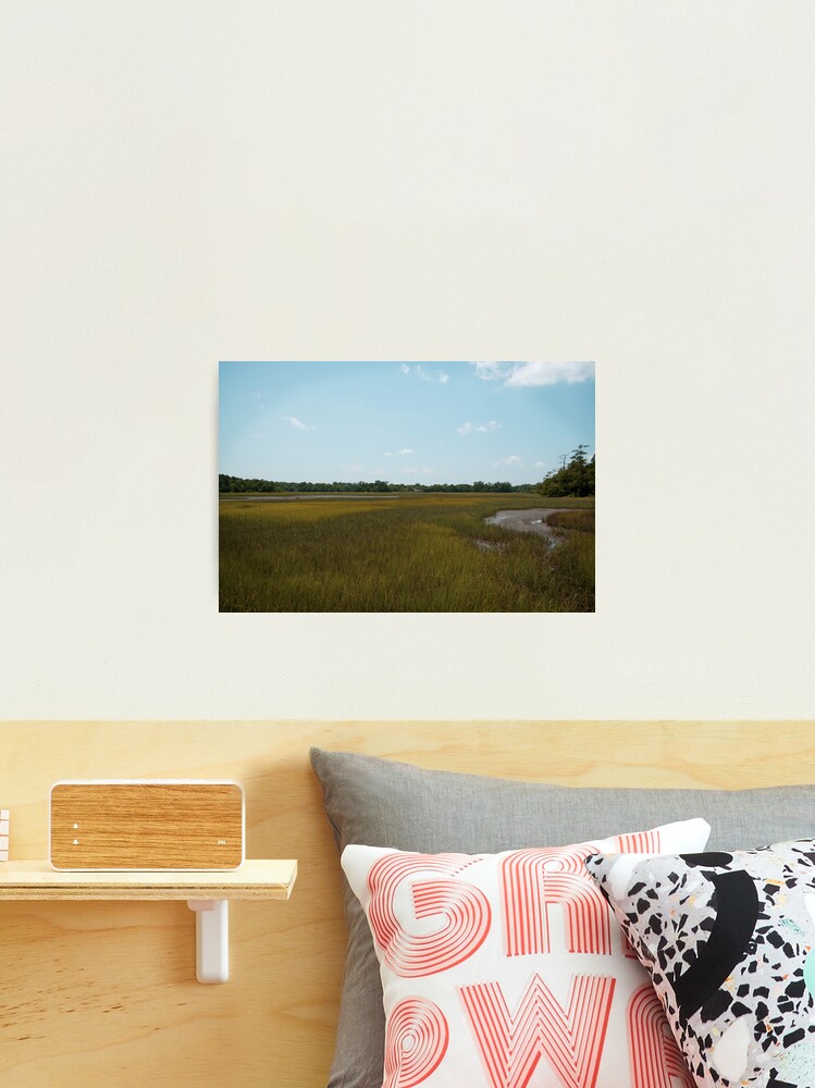Thumbnail 2 of 3, Photographic Print, Pastures! designed and sold by hernac10.