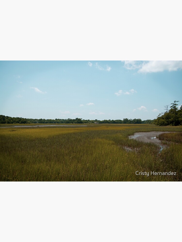 Thumbnail 3 of 3, Photographic Print, Pastures! designed and sold by hernac10.