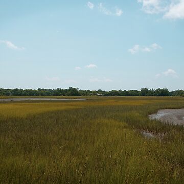 Artwork thumbnail, Pastures! by Cristy Hernandez