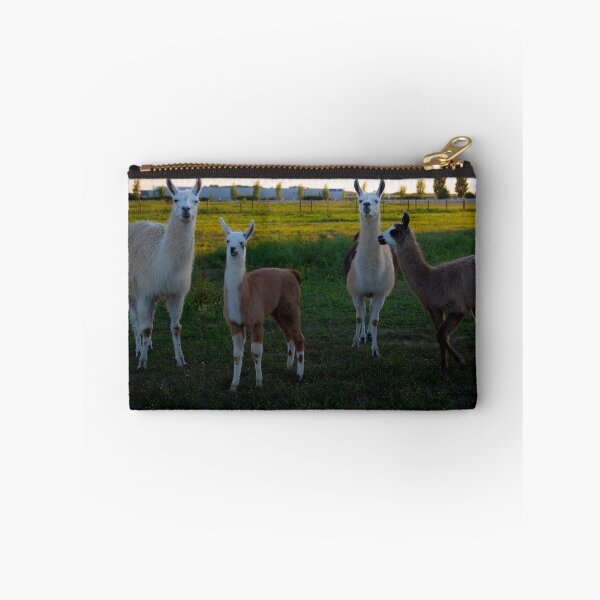 Item preview, Lamas  designed and sold by Srdjan Petrovic.