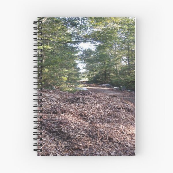 Item preview, walking path designed and sold by Rose-of-Sharon.
