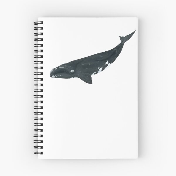 Item preview, Right Whale designed and sold by philcolesart.