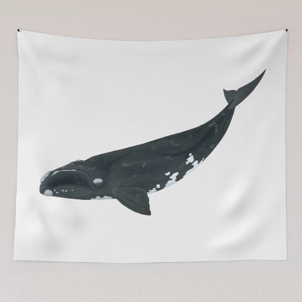 Item preview, Right Whale designed and sold by philcolesart.