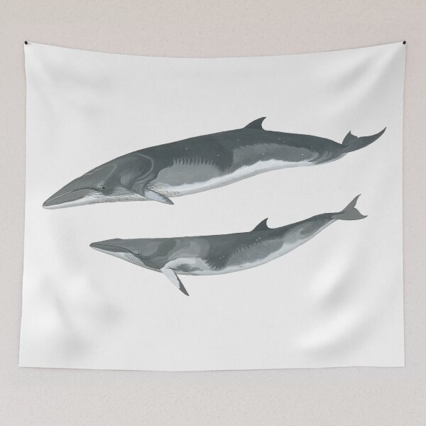 Item preview, minke whales designed and sold by philcolesart.