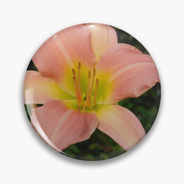 Item preview, Peach Lily designed and sold by Izayo-Darke1.