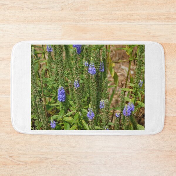 Item preview, Curious Stalks designed and sold by Izayo-Darke1.